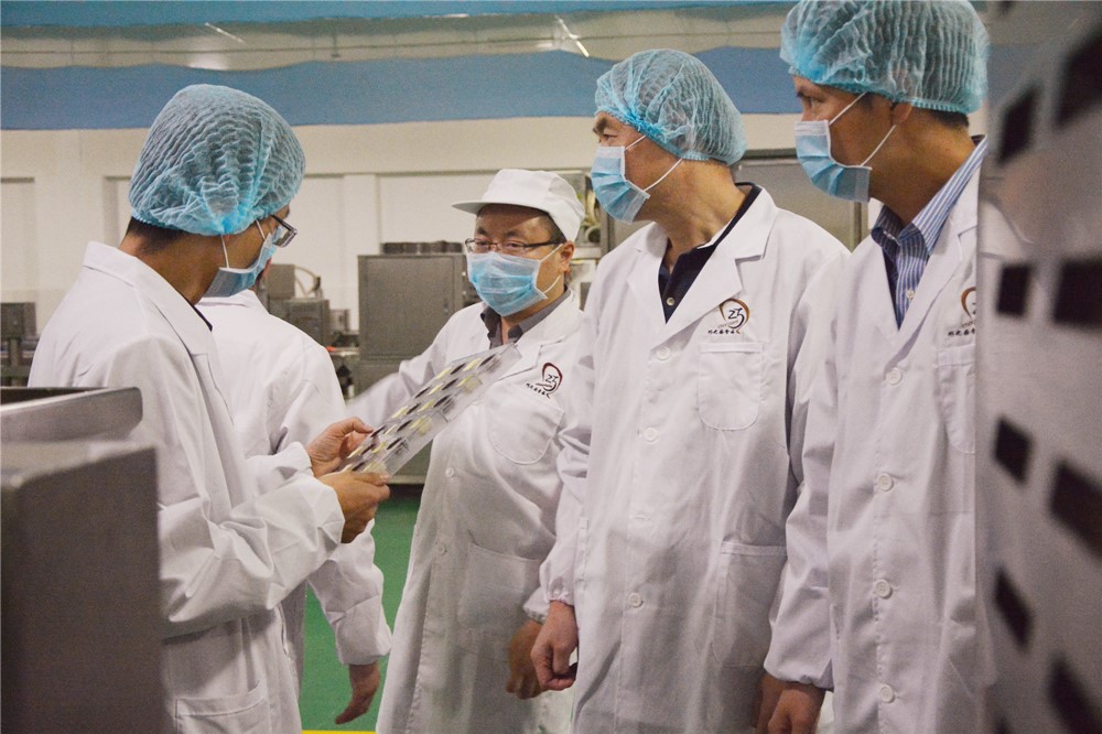 BISCUIT FILLING decoration chocolate line