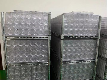 Decoration Biscuit chocolate line & TRAYING(MF-DB)