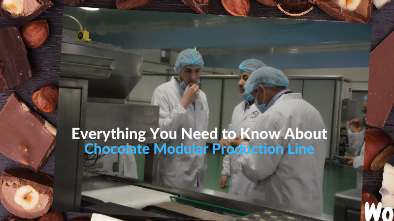 Everything You Need to Know About Chocolate Modular Production Line | G ...