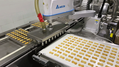 BISCUIT STICK decoration chocolate line (MF-B8)