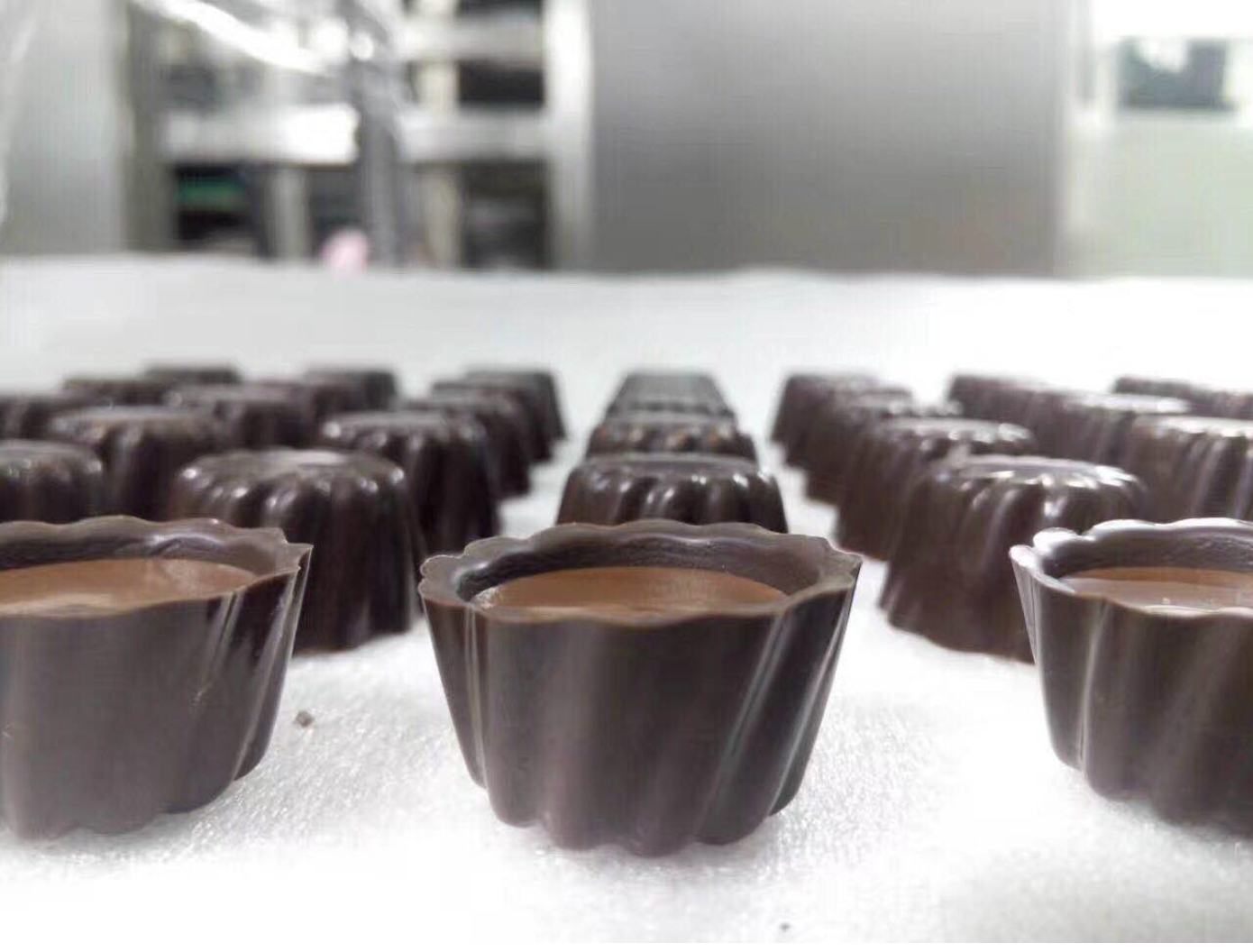 FILLING & Biscuit chocolate shell molding line