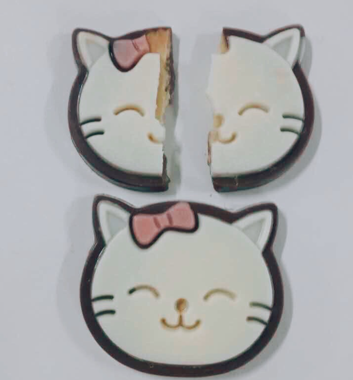 BISCUIT FILLING decoration chocolate line