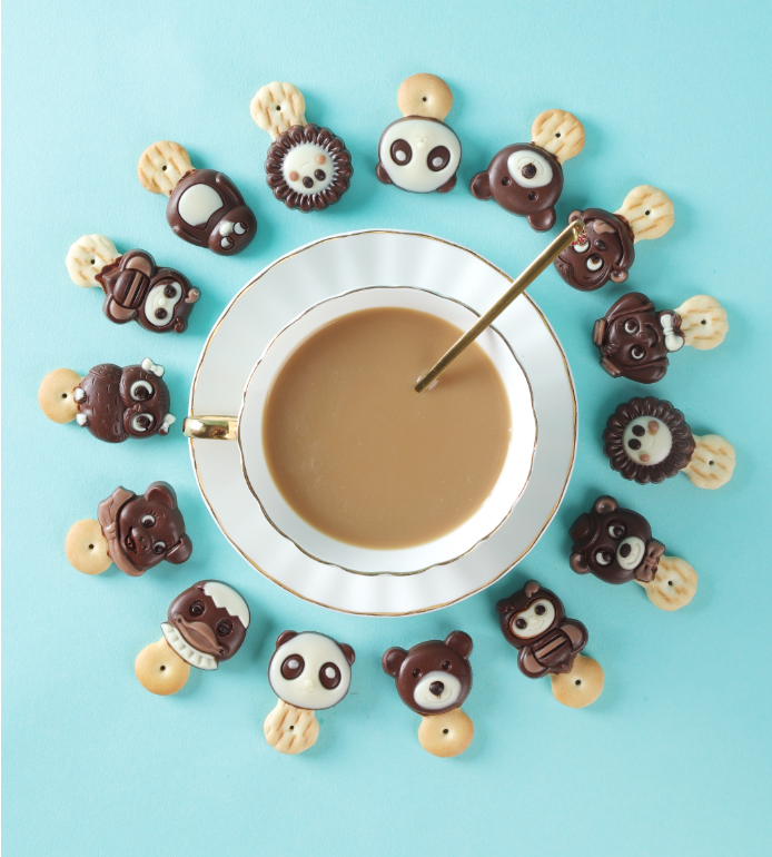 BISCUIT STICK decoration chocolate line (MF-B8)