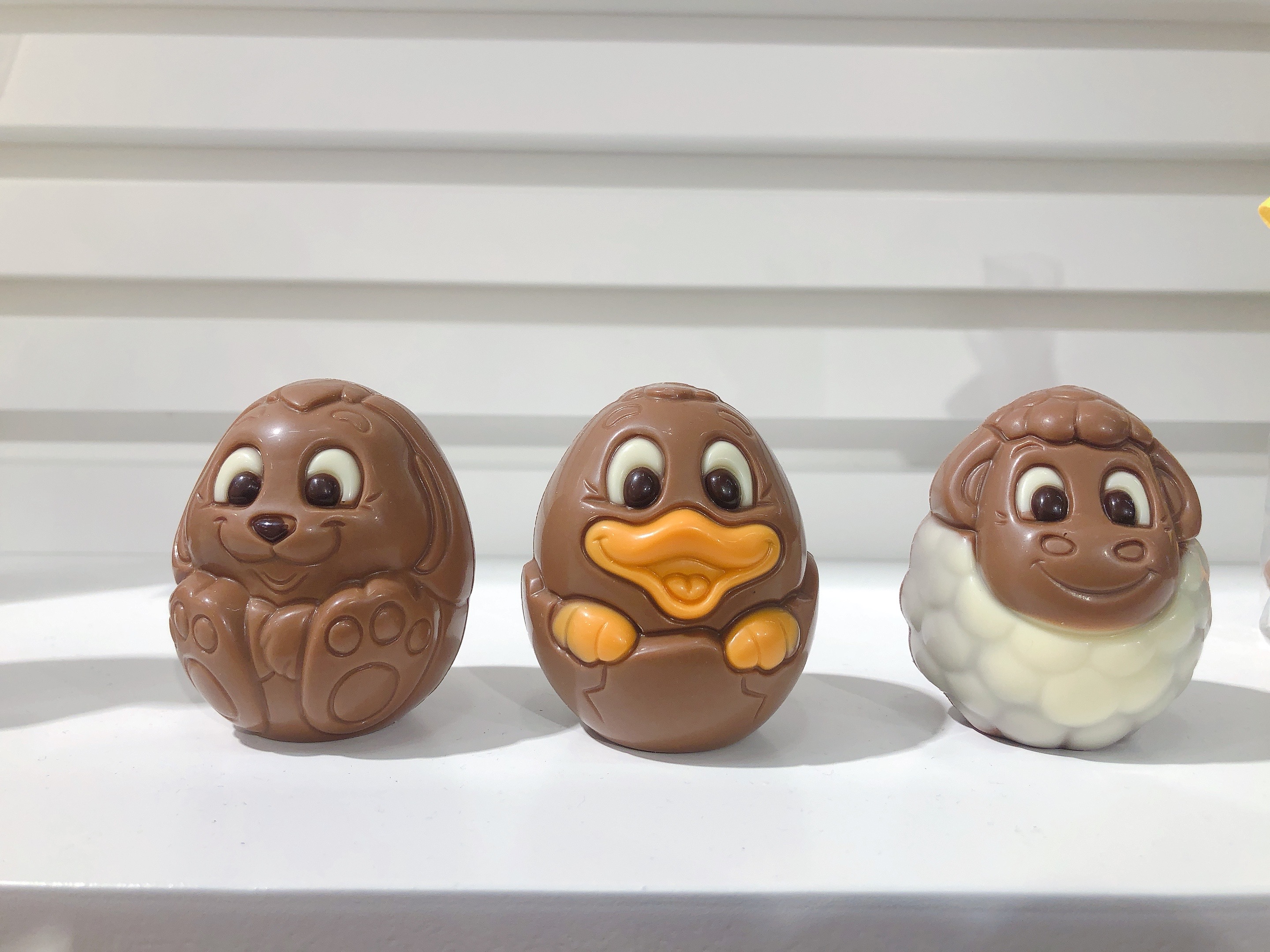 One Shot more fillings chocolate line &; TRAYING