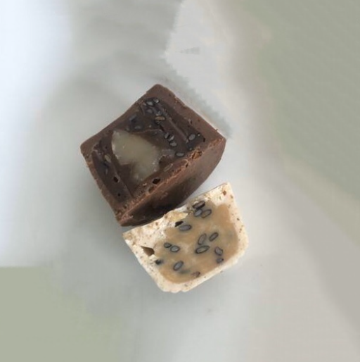 FILLING & Biscuit chocolate shell molding line