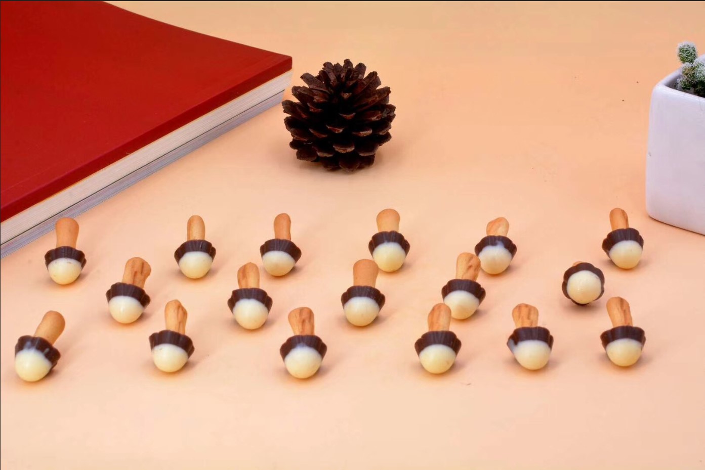 Decoration Biscuit chocolate line & TRAYING(MF-DB)