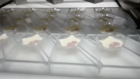 Decoration lollipop chocolate line
