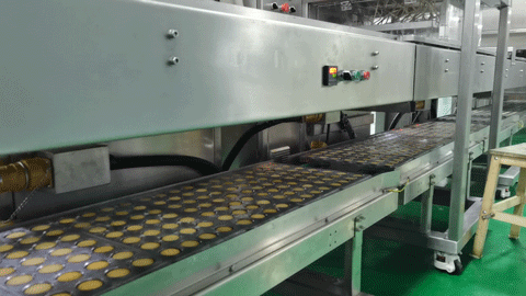FILLING & Biscuit chocolate shell molding line