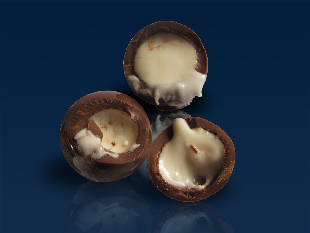 FILLING & Biscuit chocolate shell molding line