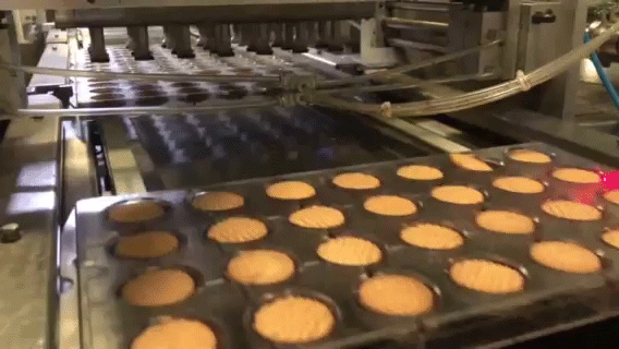 FILLING & Biscuit chocolate shell molding line