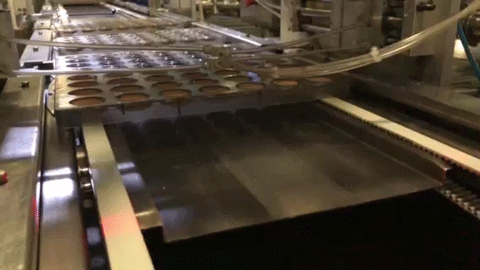 BISCUIT FILLING decoration chocolate line