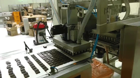 MIXTURE FILLING chocolate shell molding line