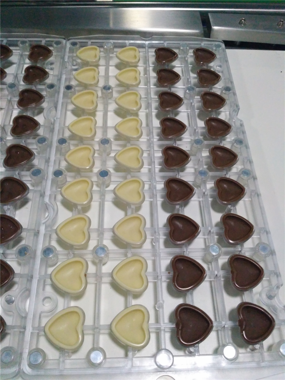 WAFER & other fillings chocolate shell molding line