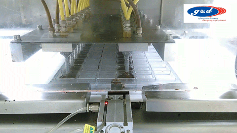 WAFER & other fillings chocolate shell molding line