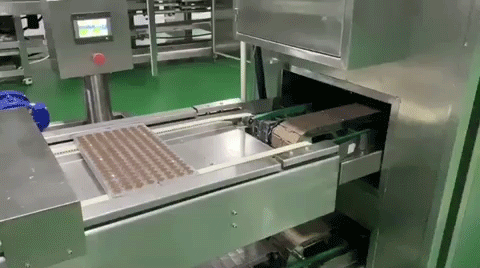 BISCUIT FILLING decoration chocolate line