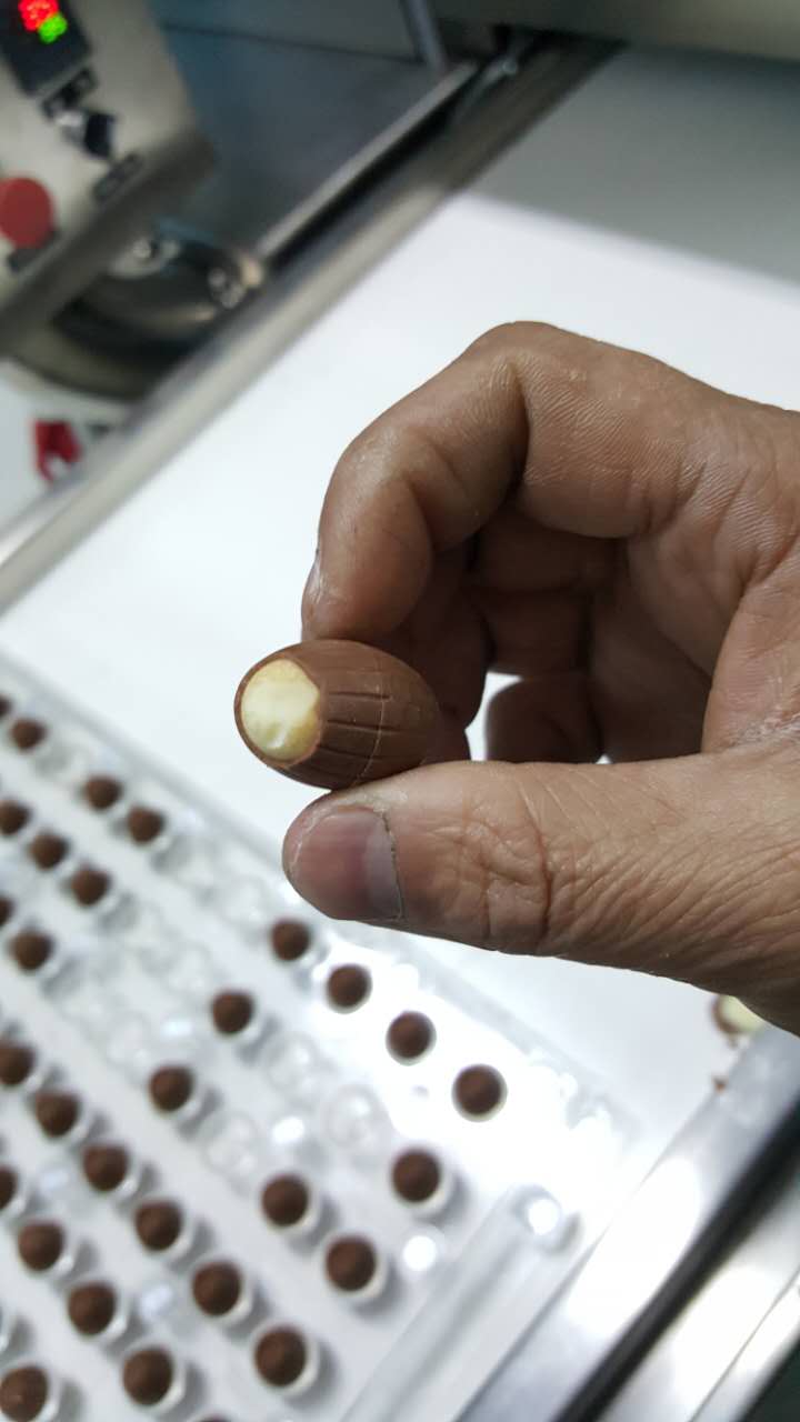 BISCUIT FILLING decoration chocolate line