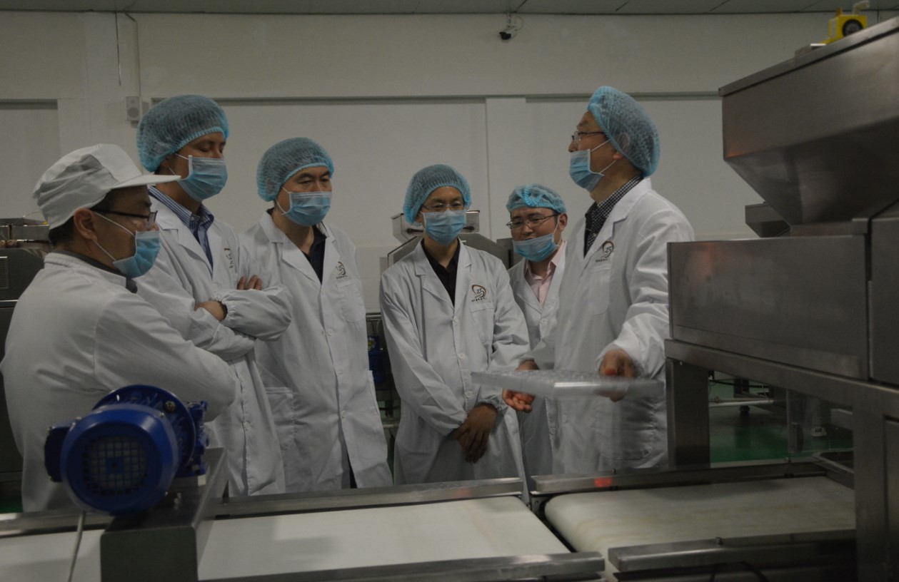 Mixture NEW materials chocolate line