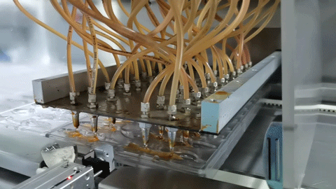 Jelly Bake Free Multi-function Line
