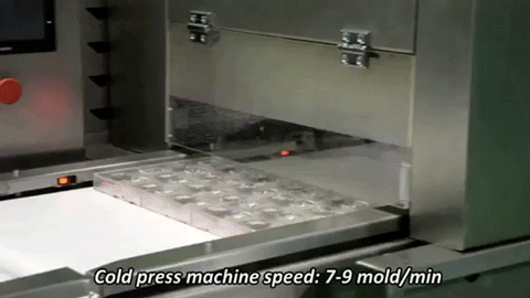 FILLING & Biscuit chocolate shell molding line