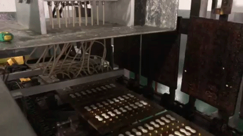 Small Biscuit Multi-function Line